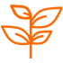 Full Regulatory Consideration